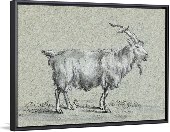 "Standing Goat (1775-1883)", Jean Bernard