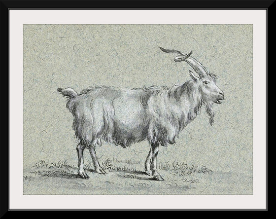 "Standing Goat (1775-1883)", Jean Bernard