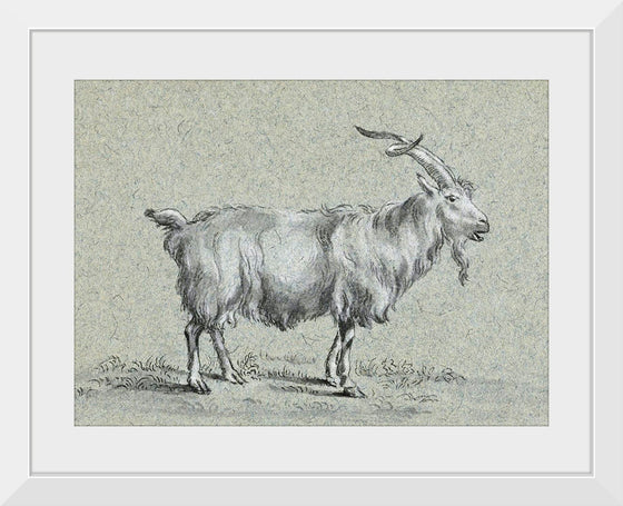 "Standing Goat (1775-1883)", Jean Bernard