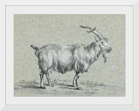 "Standing Goat (1775-1883)", Jean Bernard