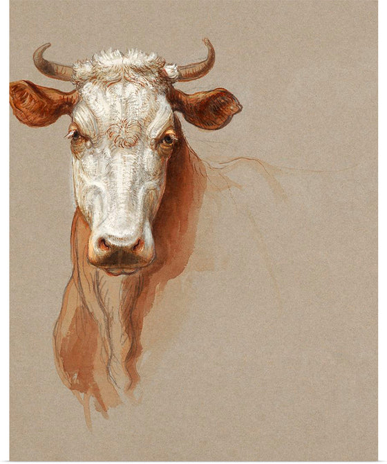 "Two Studies of Cattle (1876)", Samuel Colman