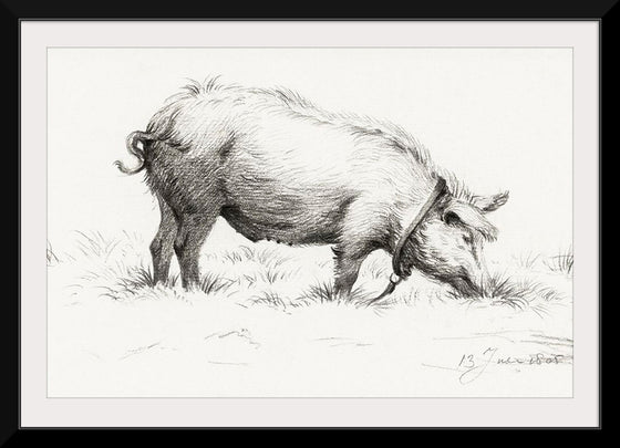 "Standing Boar in the Grass (1805)", Jean Bernard