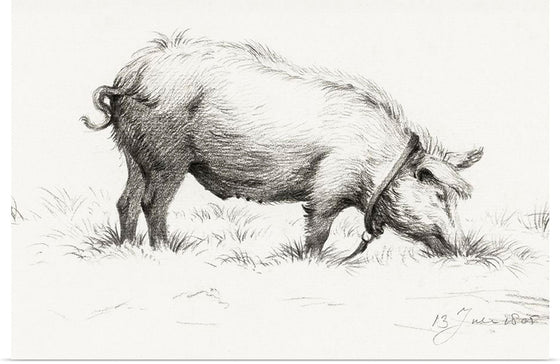 "Standing Boar in the Grass (1805)", Jean Bernard