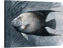  James Carter Beard was a prolific American painter who specialized in wildlife scenes and landscapes. He was born in Cincinnati, Ohio, in 1837 and died in New Orleans, Louisiana, in 1913. One of his works is Angel Fish, a watercolor drawing that depicts a colorful fish with a long tail and a pointed head. 