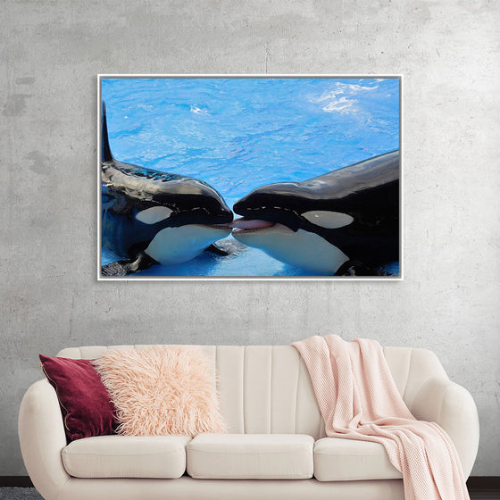 "Orcas"