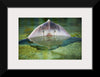 "Cute Stingray Above Waters"