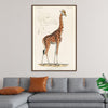 "Camelopardis Giraffe - The Giraffe (1837)"Georges Cuvier