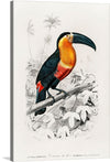 This exquisite print brings the vibrant beauty of the natural world right into your space. It features a striking toucan, its orange and black plumage standing out against the intricate greyscale backdrop of lush foliage and exotic flowers. The meticulous precision in every feather, leaf, and petal invites viewers to lose themselves in this serene jungle scene. 