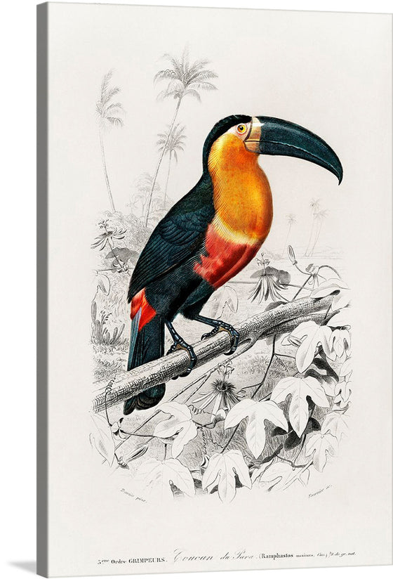 This exquisite print brings the vibrant beauty of the natural world right into your space. It features a striking toucan, its orange and black plumage standing out against the intricate greyscale backdrop of lush foliage and exotic flowers. The meticulous precision in every feather, leaf, and petal invites viewers to lose themselves in this serene jungle scene. 