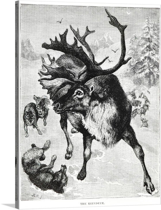 Introducing “Reindeer,” a captivating artwork that transports you to a serene, snowy landscape where the majesty of nature unfolds. This exquisite print captures the raw power and grace of a magnificent reindeer, surrounded by playful wolves in an enchanting dance of survival and beauty. Every intricate detail, from the reindeer’s expansive antlers to the wolves’ expressive movements, is rendered with exceptional skill to bring this dynamic scene to life. 