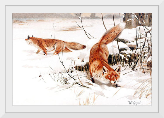 "Common Foxes in the Snow (1893)", Wilhelm Kuhnert