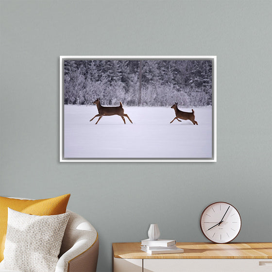 "Two white-tailed deer run through the snow"