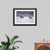 "Two white-tailed deer run through the snow"