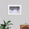 "Two white-tailed deer run through the snow"