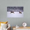 "Two white-tailed deer run through the snow"