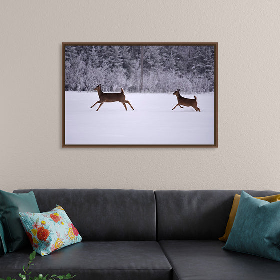 "Two white-tailed deer run through the snow"