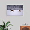 "Two white-tailed deer run through the snow"