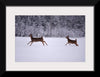 "Two white-tailed deer run through the snow"