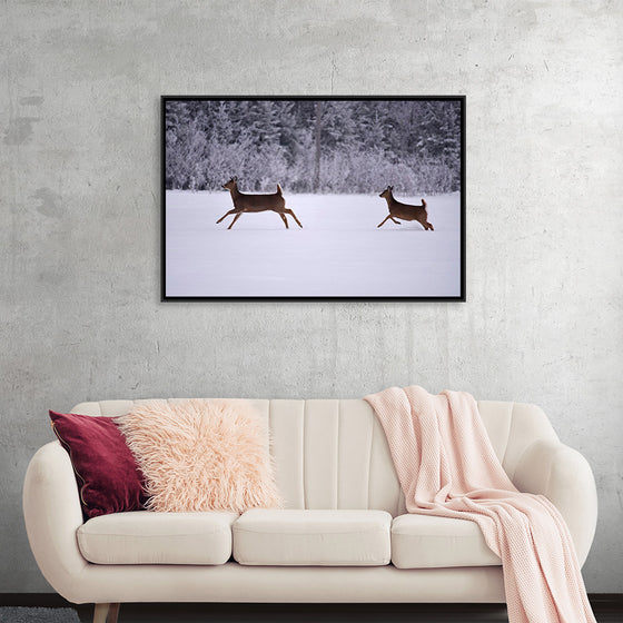 "Two white-tailed deer run through the snow"