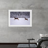 "Two white-tailed deer run through the snow"