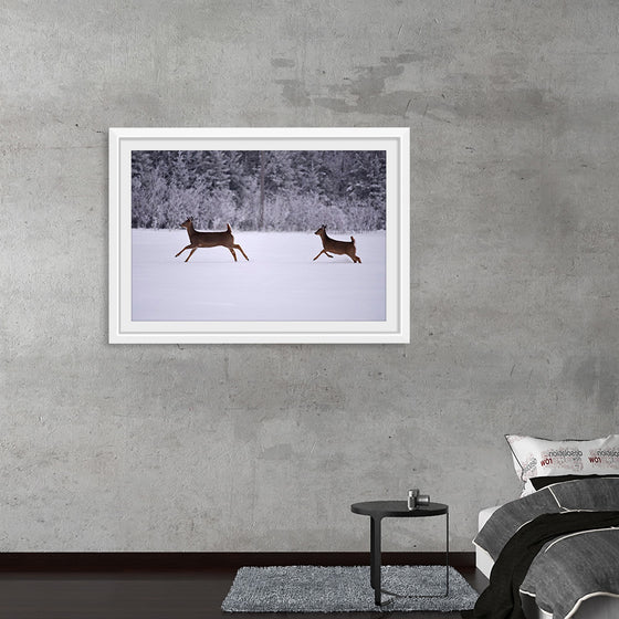 "Two white-tailed deer run through the snow"