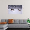 "Two white-tailed deer run through the snow"