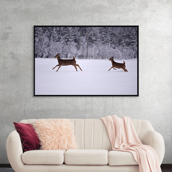 "Two white-tailed deer run through the snow"