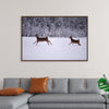 "Two white-tailed deer run through the snow"