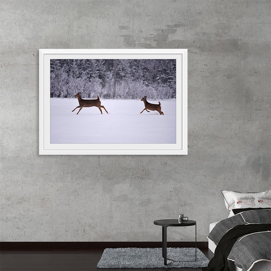 "Two white-tailed deer run through the snow"