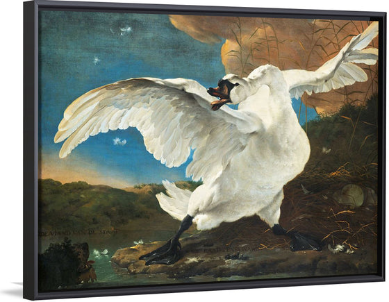 "Threatened swan (1650)", Jan Assilijn