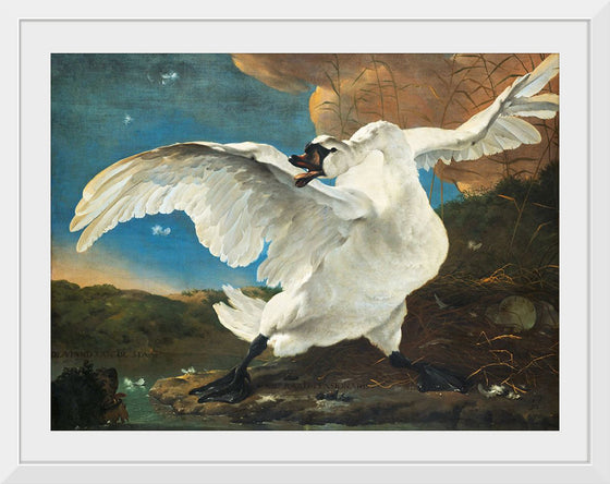 "Threatened swan (1650)", Jan Assilijn