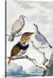  “Three Birds, Two Inca Pigeons and a Collared Bearded Cuckoo (1753)” by Aert Schouman invites you into a world of serene beauty. This exquisite print captures the delicate grace of these majestic birds, rendered with meticulous detail and vibrant colors that breathe life into every feather and wing. The artwork is a harmonious blend of nature’s splendor and artistic mastery, making it a timeless addition to any space.