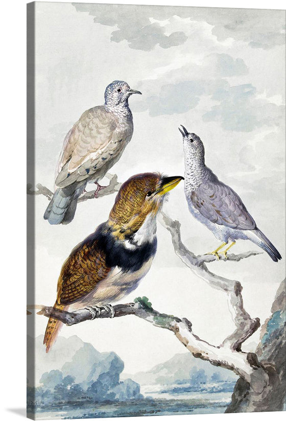 “Three Birds, Two Inca Pigeons and a Collared Bearded Cuckoo (1753)” by Aert Schouman invites you into a world of serene beauty. This exquisite print captures the delicate grace of these majestic birds, rendered with meticulous detail and vibrant colors that breathe life into every feather and wing. The artwork is a harmonious blend of nature’s splendor and artistic mastery, making it a timeless addition to any space.