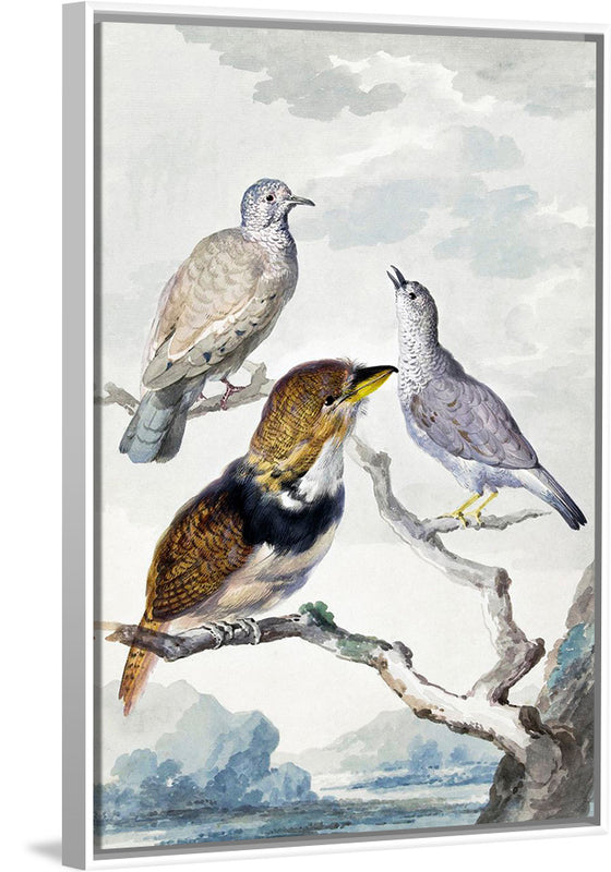 "Three birds, two Inca Pigeons and a collared bearded cuckoo (1753)", Aert Schouman