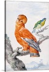 This exquisite artwork captures the serene beauty of nature, featuring a majestic orange bird, possibly a parrot, perched gracefully on a rugged branch. Its vibrant feathers are painted with meticulous detail, radiating an aura of elegance and tranquility. A smaller green and blue bird accompanies it, adding a harmonious contrast to the scene. 