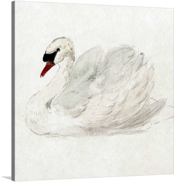 Immerse yourself in the serene beauty of this exquisite print, capturing the graceful elegance of a swan amidst a tranquil moment. Each brushstroke reveals the artist’s mastery, blending delicate shades to bring life to the swan’s majestic plume and gentle gaze. 