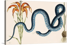  Immerse yourself in the enigmatic allure of this exquisite artwork, now available as a premium print. A meticulously detailed blue snake, rendered with lifelike precision, weaves gracefully across the canvas. It encircles a vibrant display of flora, where the fiery hues of an exotic flower burst into life against the serene backdrop. Every scale and petal is imbued with an arresting realism that beckons viewers into a world where nature’s untamed elegance reigns supreme. 