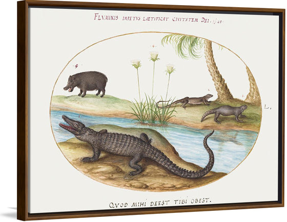 "Crocodile, Hippopotamus, and Lizards with a Papyrus Plant (1575-1580)", Joris Hoefnagel