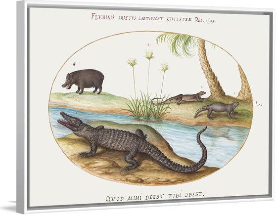 "Crocodile, Hippopotamus, and Lizards with a Papyrus Plant (1575-1580)", Joris Hoefnagel