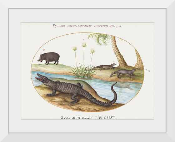 "Crocodile, Hippopotamus, and Lizards with a Papyrus Plant (1575-1580)", Joris Hoefnagel