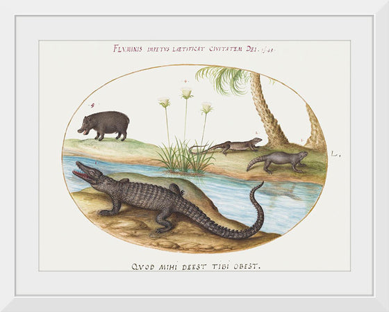 "Crocodile, Hippopotamus, and Lizards with a Papyrus Plant (1575-1580)", Joris Hoefnagel