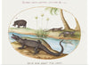 "Crocodile, Hippopotamus, and Lizards with a Papyrus Plant (1575-1580)", Joris Hoefnagel