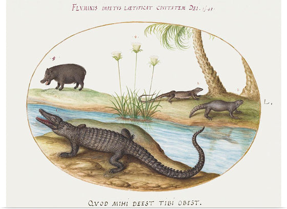 "Crocodile, Hippopotamus, and Lizards with a Papyrus Plant (1575-1580)", Joris Hoefnagel