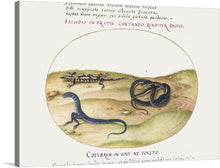  “Snake, Salamander, and Snakelike Creature with Two Legs (1575-1580)” by Joris Hoefnagel. This masterpiece is a stunning representation of nature’s diversity and mystery. The artwork features three distinct creatures, each with its own unique story to tell. The salamander, with its black skin adorned with yellow spots, is a symbol of transformation and rebirth. 