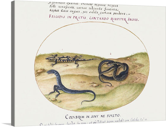 “Snake, Salamander, and Snakelike Creature with Two Legs (1575-1580)” by Joris Hoefnagel. This masterpiece is a stunning representation of nature’s diversity and mystery. The artwork features three distinct creatures, each with its own unique story to tell. The salamander, with its black skin adorned with yellow spots, is a symbol of transformation and rebirth. 