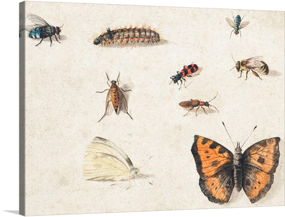 Adorn your space with the intricate beauty of nature captured in this exquisite print. A symphony of meticulously illustrated insects, each rendered with astonishing detail, graces the canvas. From the delicate wings of butterflies to the vibrant hues of beetles, every element is a testament to the mesmerizing allure that these small creatures hold.
