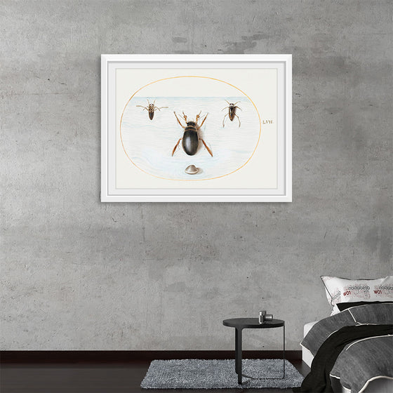 "Diving Beetle and Backswimmer", Joris Hoefnagel