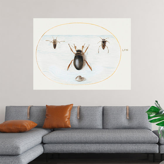 "Diving Beetle and Backswimmer", Joris Hoefnagel