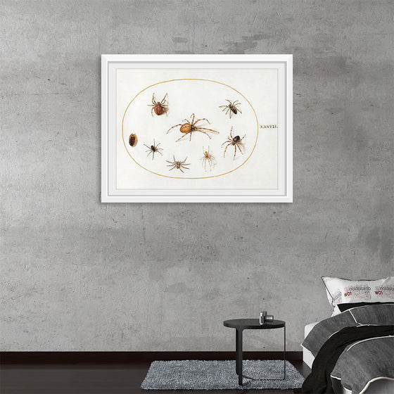 "Seven Spiders and an Insect (1575-1580)", Joris Hoefnagel