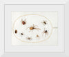 "Seven Spiders and an Insect (1575-1580)", Joris Hoefnagel